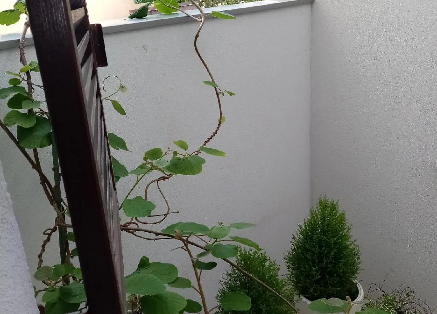 Apartment Mimi Veruda Porat Pula